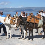 donkey-rides-very-touristy